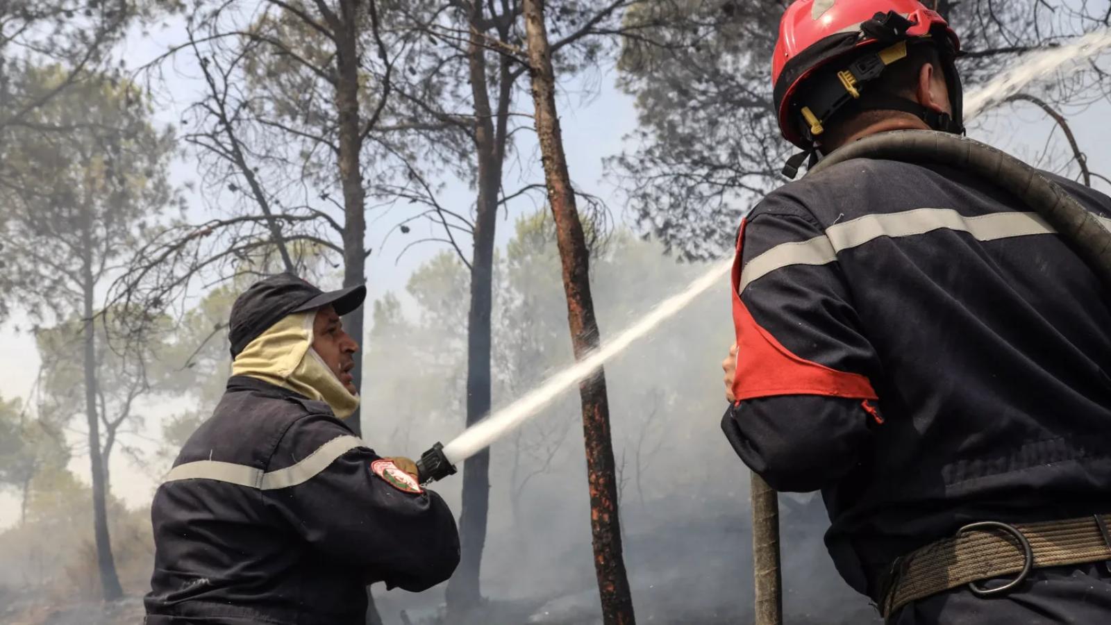 Twaalf doden in noorden van Algerije door aanhoudende natuurbranden