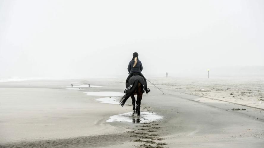 Nederland heeft een nieuw Nationaal Park: Hollandse Duinen