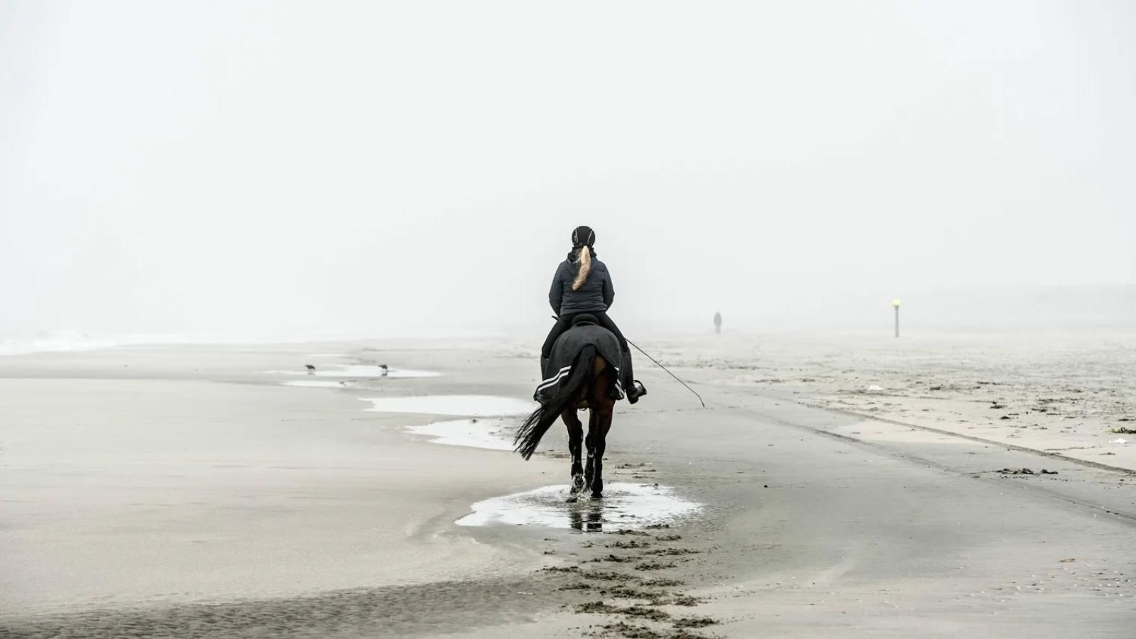 Nederland heeft een nieuw Nationaal Park: Hollandse Duinen