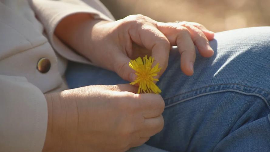 Grote zorgen over lot gevangenen en terdoodveroordeelden Iran